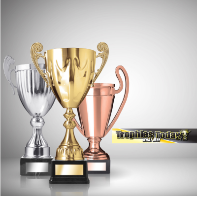 Trophies wholesales and retail eCommerce web design 
