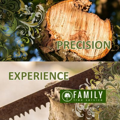 Tree resident and commercial services Web Design And Development 